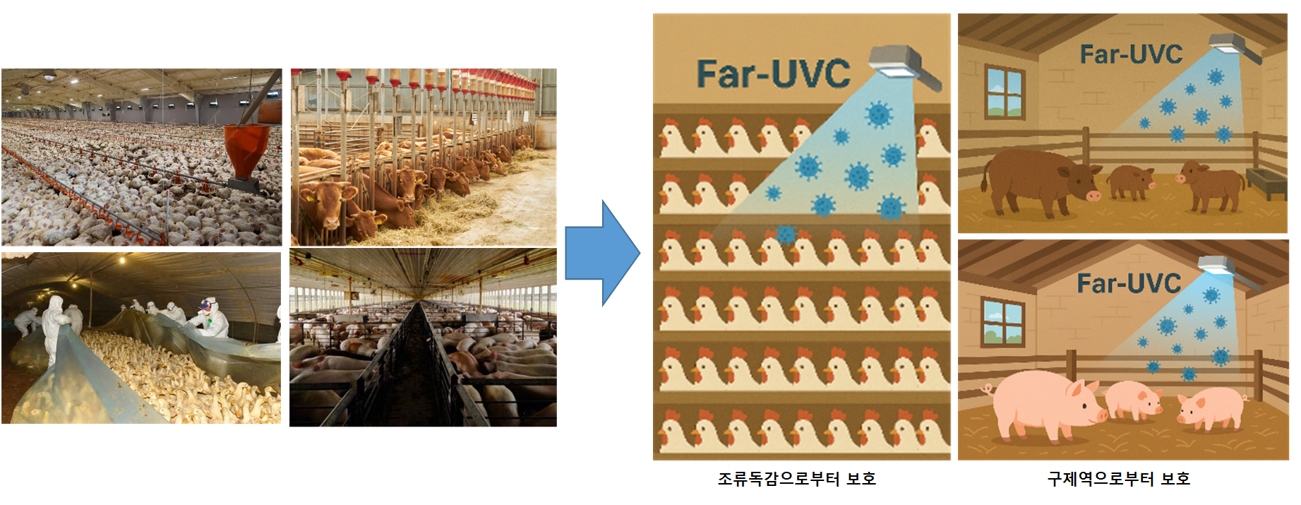 전자기파의 스펙트럼과 FAR-UVC 영역