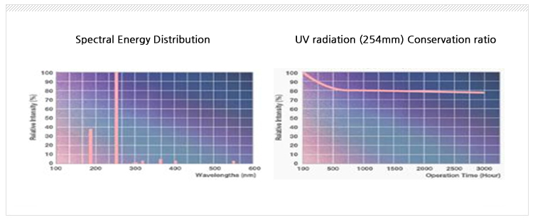 Spectral Energy & UV Radiation